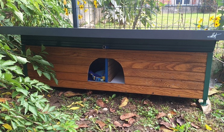 Topla priča iz Bjelovara: Postavljeno prvo utočište za ulične mačke! 2025 10 15 203039