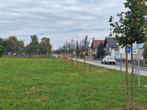 2025 10 09 bjelovar zelengrad 1