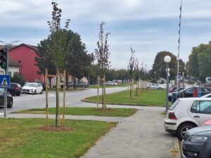 2025 10 09 bjelovar zelengrad 5