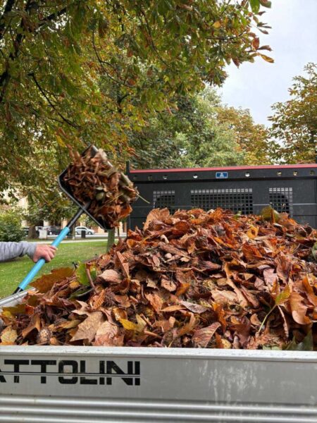 557605142 818514434461707 3603004434508847970 n optimized