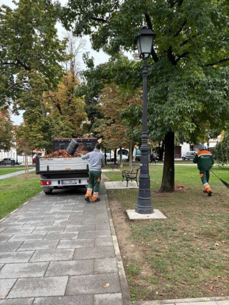 558295673 818514527795031 907779757537977754 n optimized