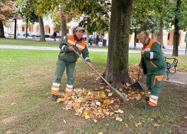 558888206 818514477795036 8526068214838699356 n