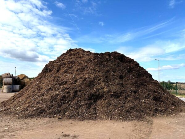 559442764 825088063804344 3221959156598488163 n