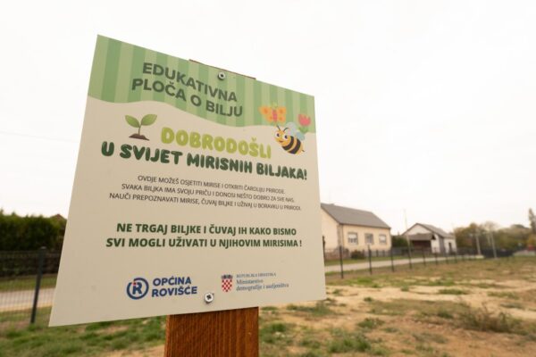 571211124 1247675494052680 4258363525130127346 n