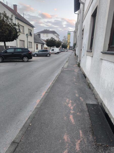 WhatsApp Image 2025 10 18 at 07.24.36 1