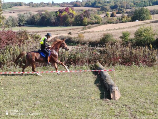 gidrani utrka 2025 1