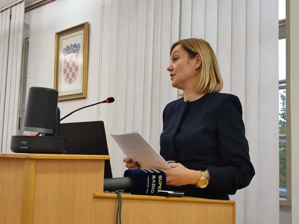 gradsko vijece 2025 1 kocur