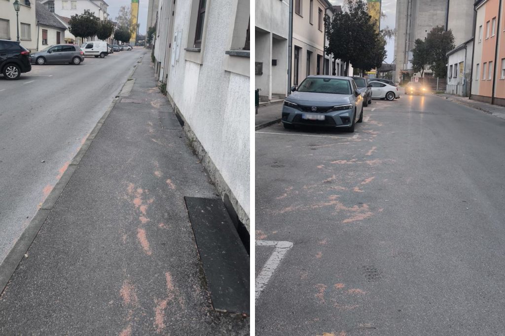 Prašina ponovno prekrila Bjelovar: Građani ogorčeni i traže odgovore prasina bjelovar naslovna