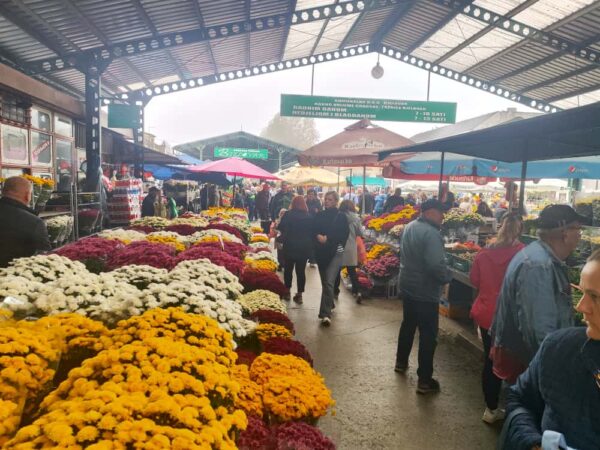 trznica cvijece 2025 2