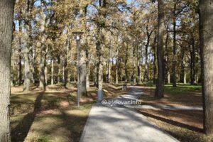 2025 10 31 svihsvetih 82