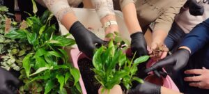 2025 11 14 knjiznica 5