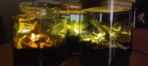 2025 11 14 knjiznica 8