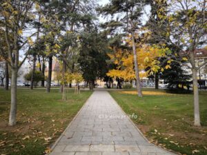 2025 11 15 kvalitetazraka 2