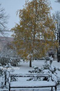 2025 11 22 zima cesta 78