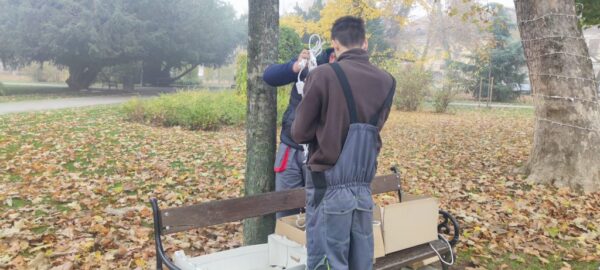 WhatsApp Image 2025 11 04 at 11.08.24 1