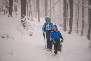 2025 12 01 omanovac jezici 3