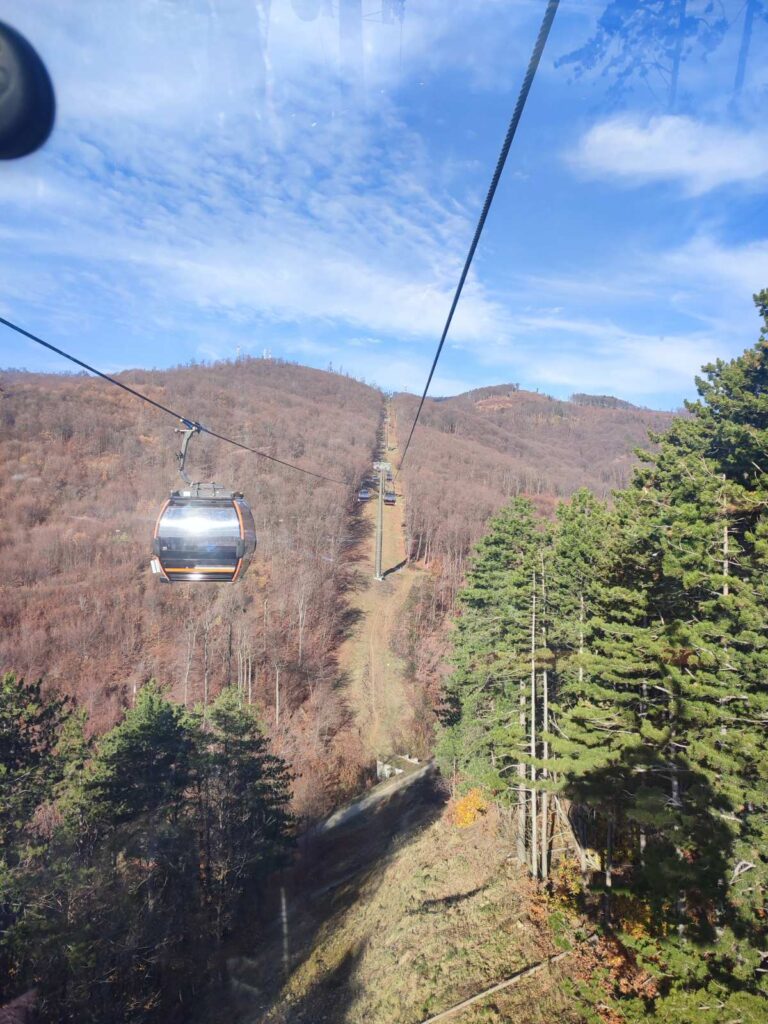 viber slika 2025 11 30 21 04 28 062