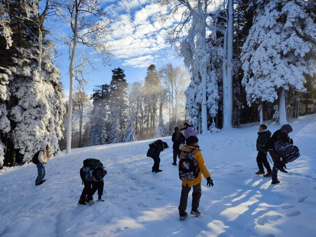 viber slika 2025 11 30 21 04 28 284