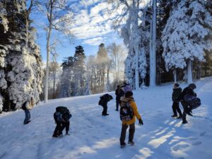 viber slika 2025 11 30 21 04 28 284