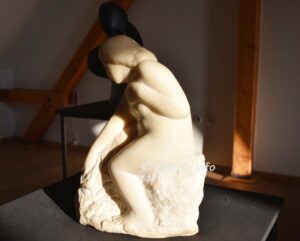 2026 01 19 vojinbakic 15