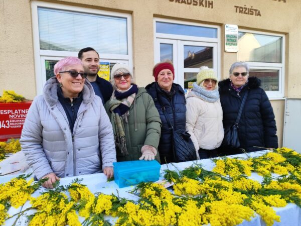 dan mimoza bjelovar 2026 10