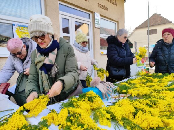 dan mimoza bjelovar 2026 4