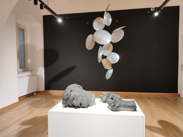 noc muzeja bjelovar 2026 6