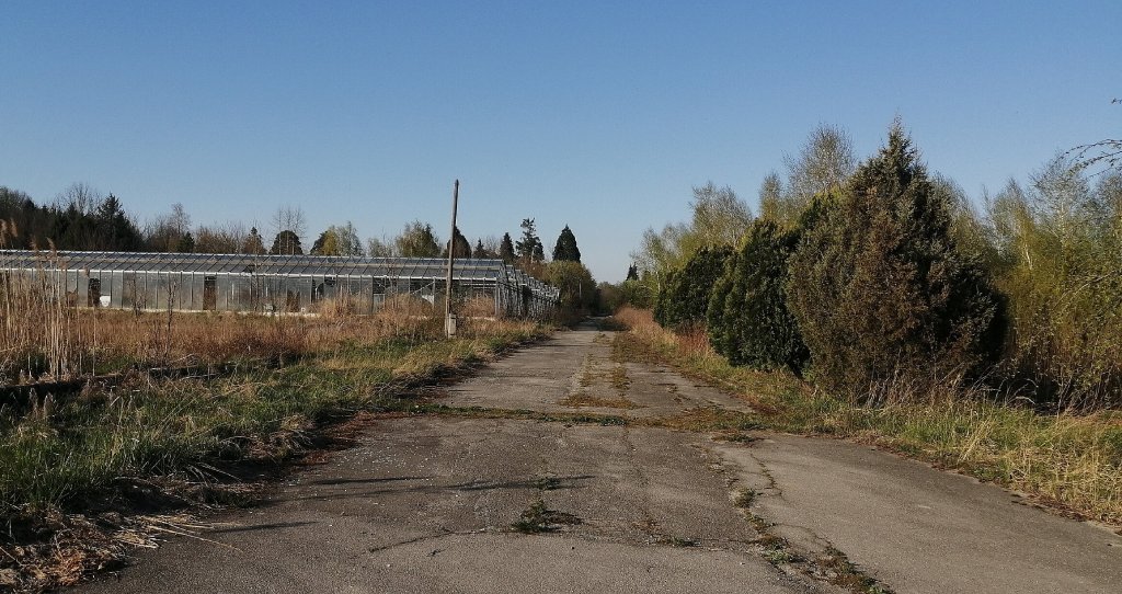 Bjelovarski vrt pod lupom Gradskog vijeća: Iznesena problematika i planovi bjelovarski vrt wikipedia