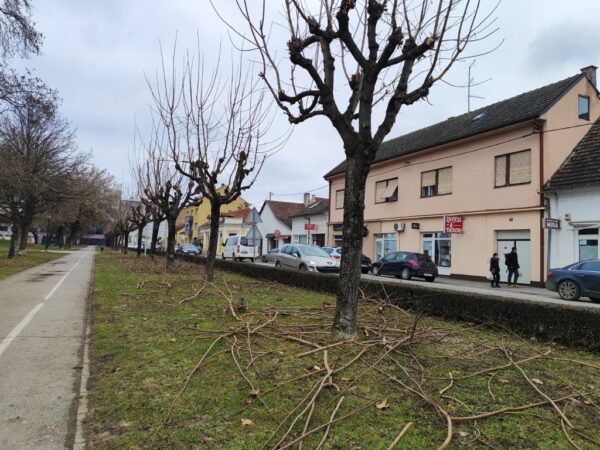 orezivanje drveca granje komunalac 3