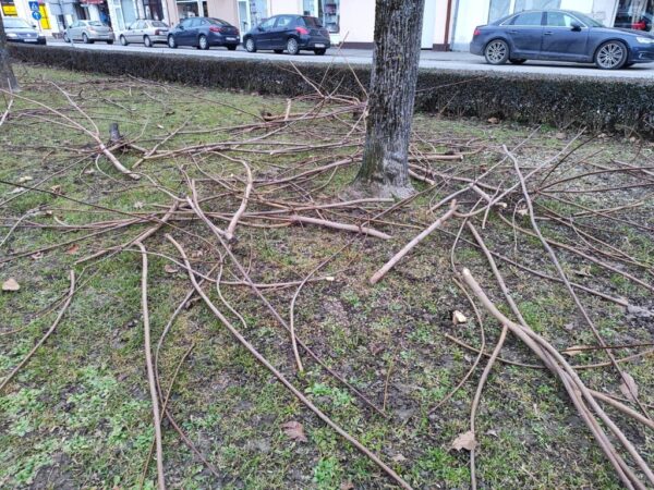 orezivanje drveca granje komunalac 4