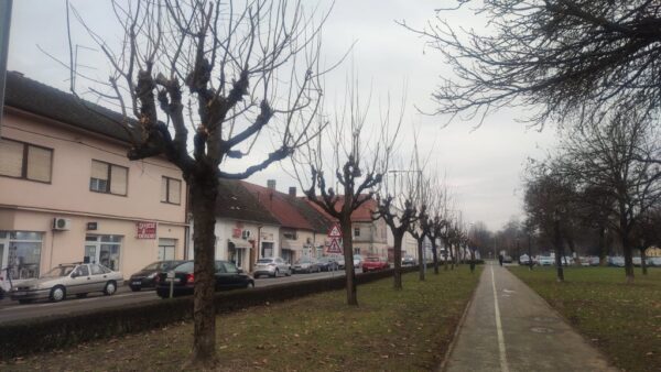 orezivanje drveca granje komunalac 5