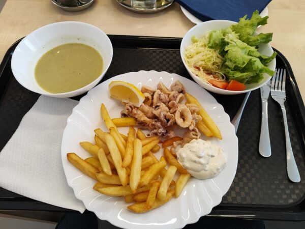 studentska menza restoran x ica bjelovar 6