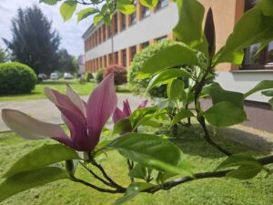 2026 03 23 velikigrdevac 18