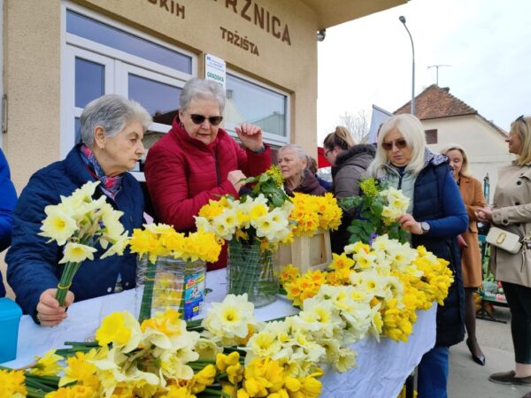 dan narcisa 2026 bjelovar 1