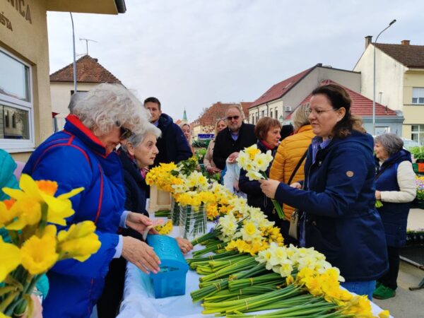 dan narcisa 2026 bjelovar 4