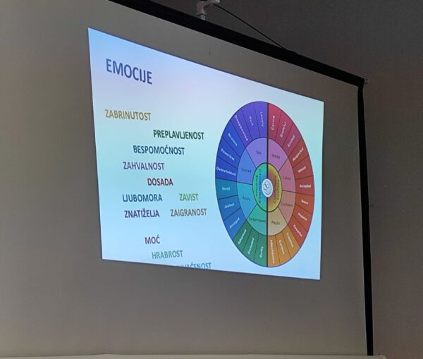emocionalni razvoj i postavljanje granica predavanje fond 3