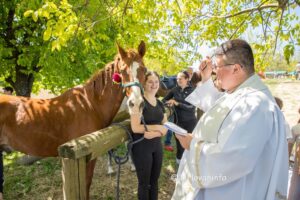 2026 04 26 durdevo bilogora 86