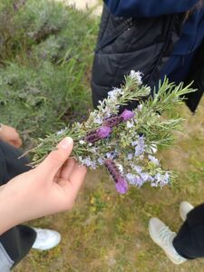 2026 04 28 danplanetazemlje 1