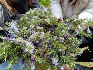 2026 04 28 danplanetazemlje 2