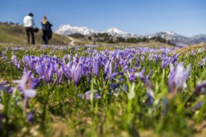 2026 04 28 hpdbilogora 29