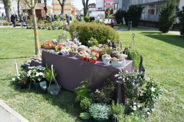 cvjetni sajam grubisno polje 2026 2