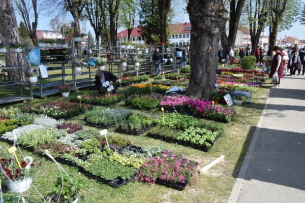 cvjetni sajam grubisno polje 2026 4