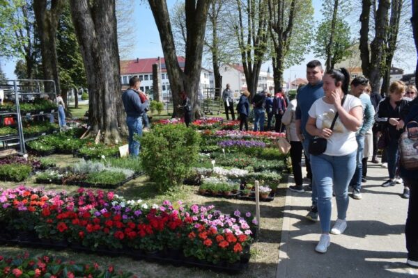 cvjetni sajam grubisno polje 2026 5