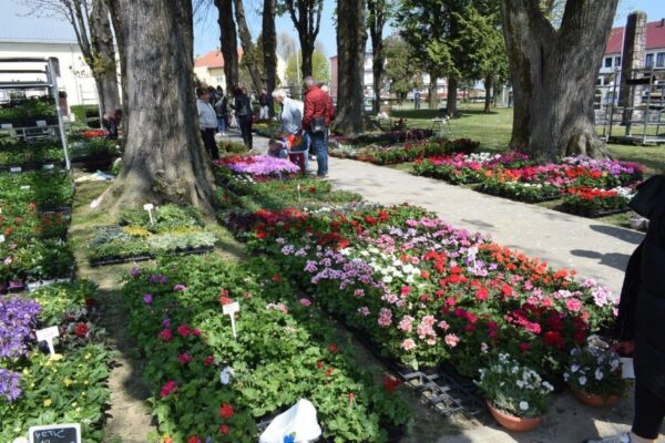 cvjetni sajam grubisno polje 2026 6