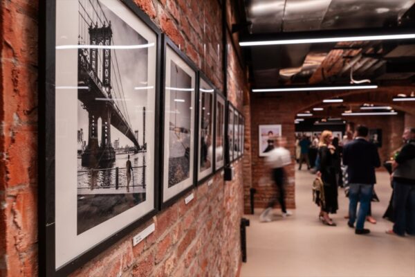 drazen tiric izlozba kudos 1