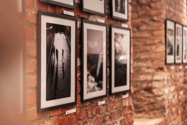 drazen tiric izlozba kudos 4