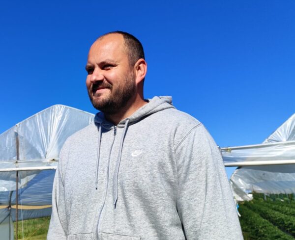 jagode opg franjic 7