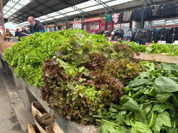 trznica Bjelovar komunalac 2