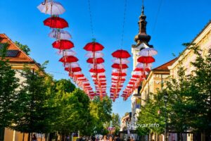 2026 05 28 bjelovar kisobrani 2