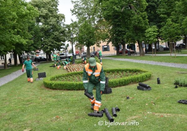 cvijece komunalac park 2026 2